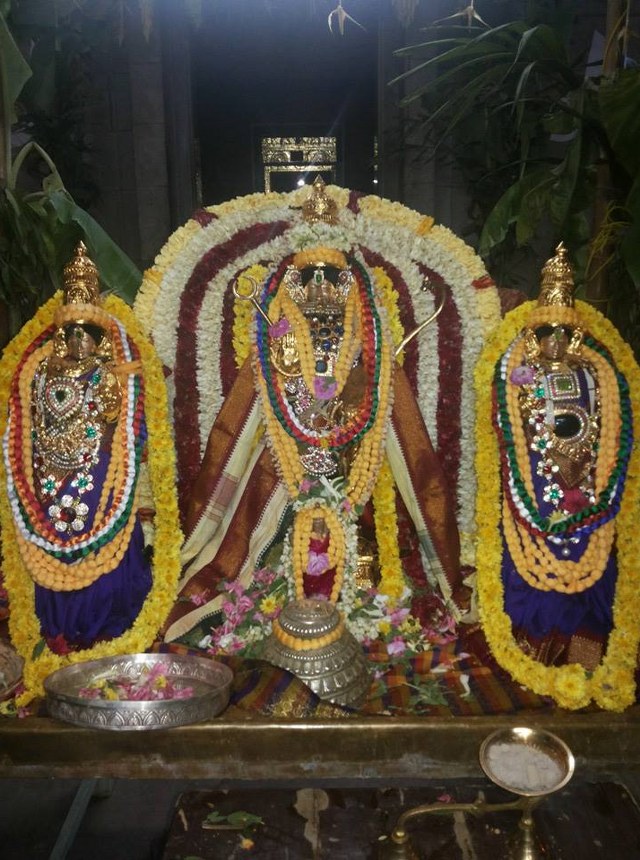 Sundapalayam Srinivasa Varadharaja Perumal temple  Pavithrotsavam Concludes  -2014-12