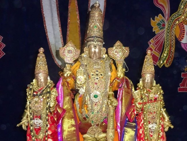 THiruvallur Veeraraghava perumal Temple Thirumangai Azhwar Thirunakshatra Utsavam -2014-01