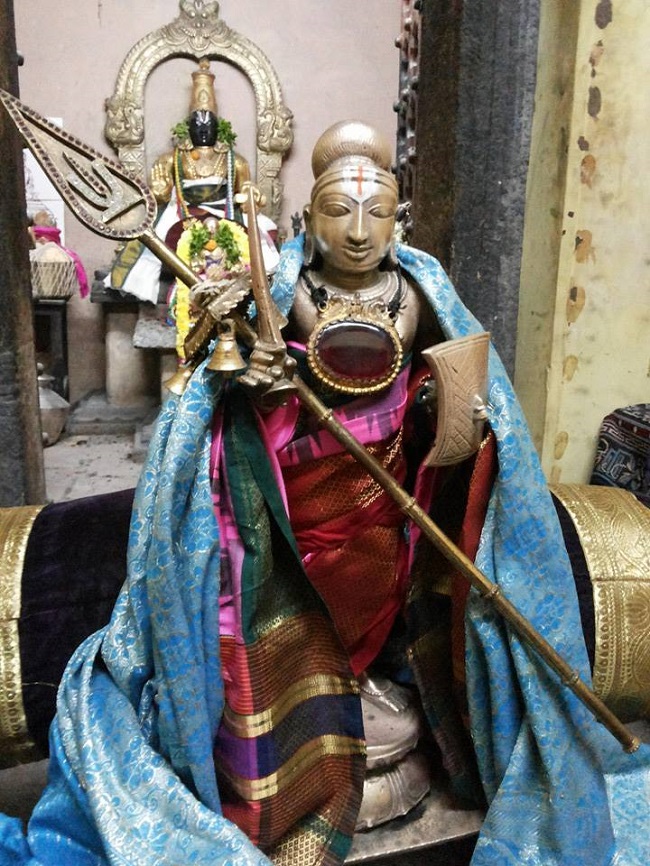 THiruvallur Veeraraghava perumal Temple Thirumangai Azhwar Thirunakshatra Utsavam -2014-08