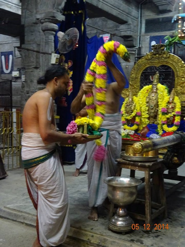 THiruvallur Veeraraghava perumal Temple Thirumangai Azhwar Thirunakshatra Utsavam -2014-09