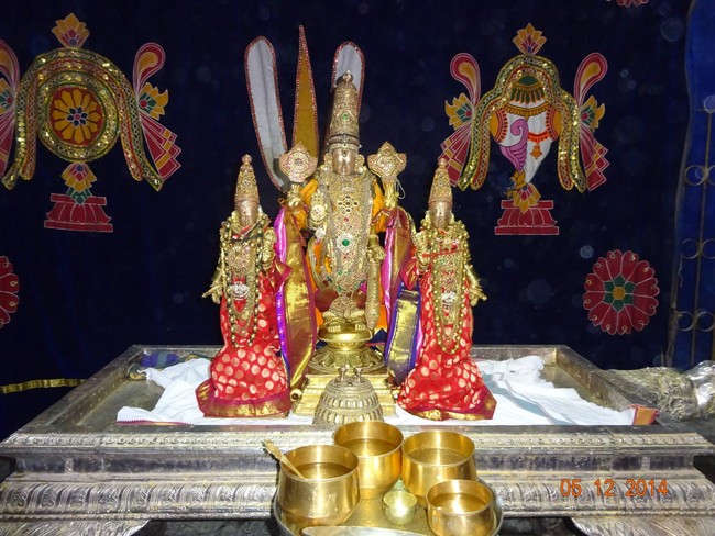 THiruvallur Veeraraghava perumal Temple Thirumangai Azhwar Thirunakshatra Utsavam -2014-10