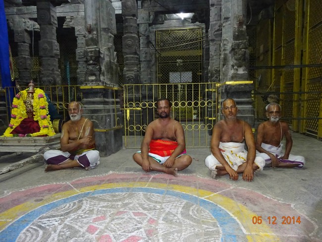 THiruvallur Veeraraghava perumal Temple Thirumangai Azhwar Thirunakshatra Utsavam -2014-11