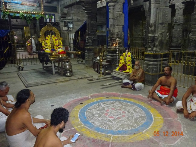 THiruvallur Veeraraghava perumal Temple Thirumangai Azhwar Thirunakshatra Utsavam -2014-13