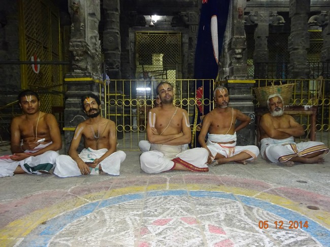 THiruvallur Veeraraghava perumal Temple Thirumangai Azhwar Thirunakshatra Utsavam -2014-16