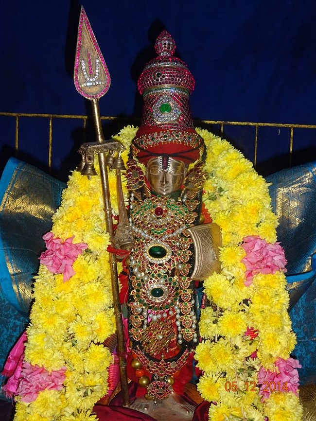 THiruvallur Veeraraghava perumal Temple Thirumangai Azhwar Thirunakshatra Utsavam -2014-17
