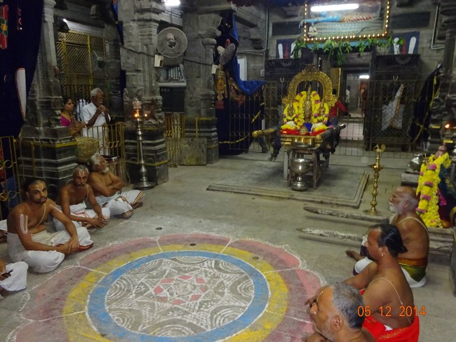THiruvallur Veeraraghava perumal Temple Thirumangai Azhwar Thirunakshatra Utsavam -2014-22