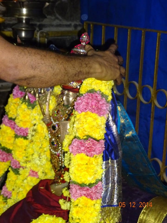 THiruvallur Veeraraghava perumal Temple Thirumangai Azhwar Thirunakshatra Utsavam -2014-23
