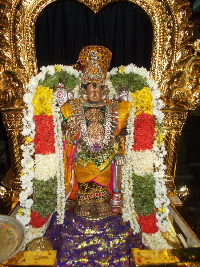 Therazhundur Sri Amaruviappan Pagal Pathu Utsavam Day 4 to 6 2014-17