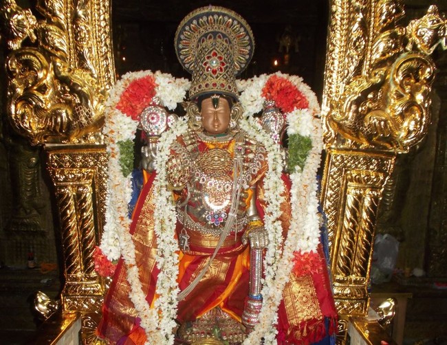Therazhundur Sri Amaruviappan Pagal Pathu Utsavam day 8 & 9 2014-02
