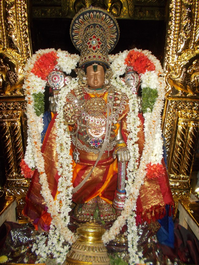 Therazhundur Sri Amaruviappan Pagal Pathu Utsavam day 8 & 9 2014-06