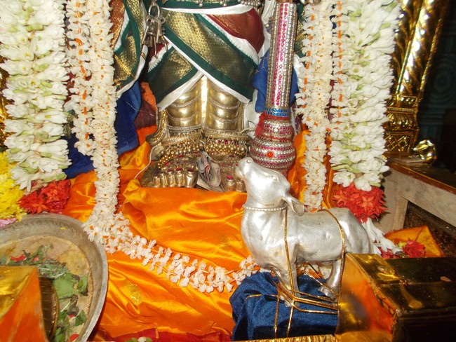 Therazhundur Sri Amaruviappan Pagal Pathu Utsavam day 8 & 9 2014-11