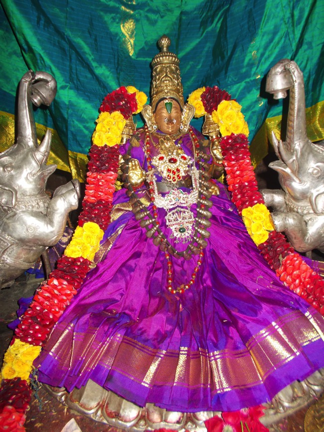 Therazhundur Sri amaruviappan Kaisika Ekadasi 2014-02