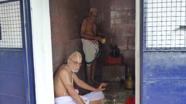 Thillaisthanam Swami 100 th year after sanyasa Thirumanjanam at brindavanam  -2014-16