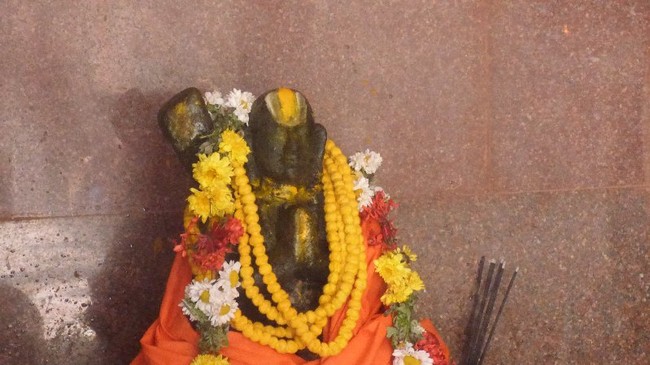 Thillaisthanam Swami 100 th year after sanyasa Thirumanjanam at brindavanam  -2014-23