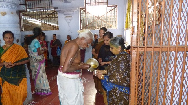 Thillaisthanam Swami 100 th year after sanyasa Thirumanjanam at brindavanam  -2014-43