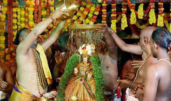 Thiruchanoor Sri Padmavathi Thayar Temple Karthika Brahmotsavam12