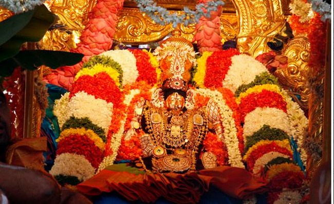 Thiruchanoor Sri Padmavathi Thayar Temple Karthika Brahmotsavam2