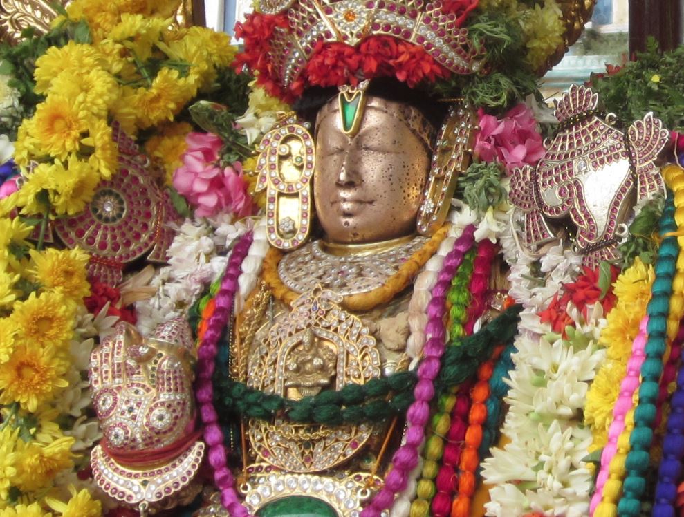 Thirucherai Sri Saranatha Perumal Pavithrotsavam 2014
