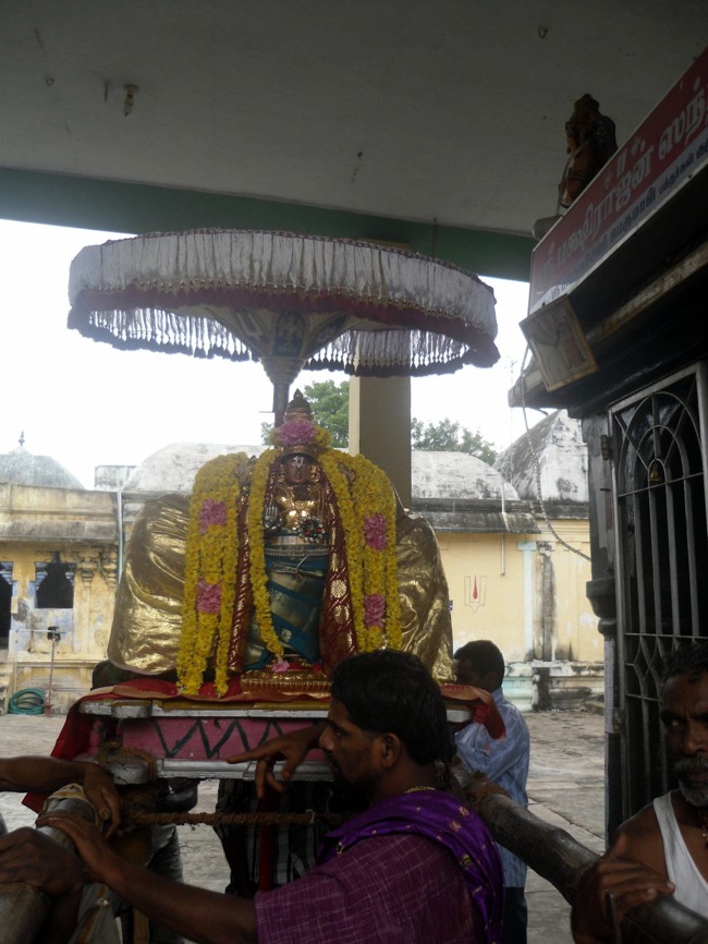 Thirukannamangai Pagal Pathu Utsavam day 2-2014-02