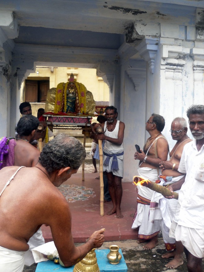 Thirukannamangai Pagal Pathu Utsavam day 2-2014-14