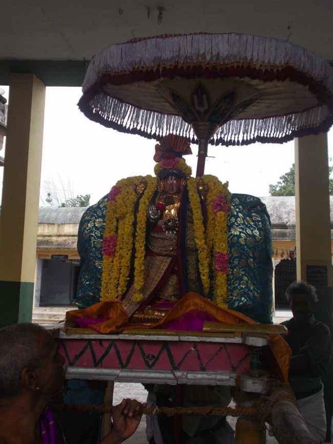 Thirukannamangai Pagal Pathu Utsavam day 5-2014-01