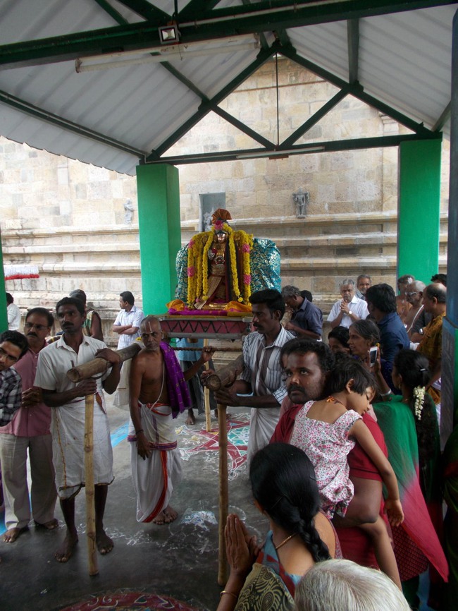 Thirukannamangai Pagal Pathu Utsavam day 5-2014-06