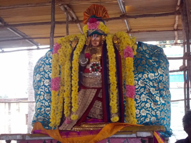 Thirukannamangai Pagal Pathu Utsavam day 5-2014-11