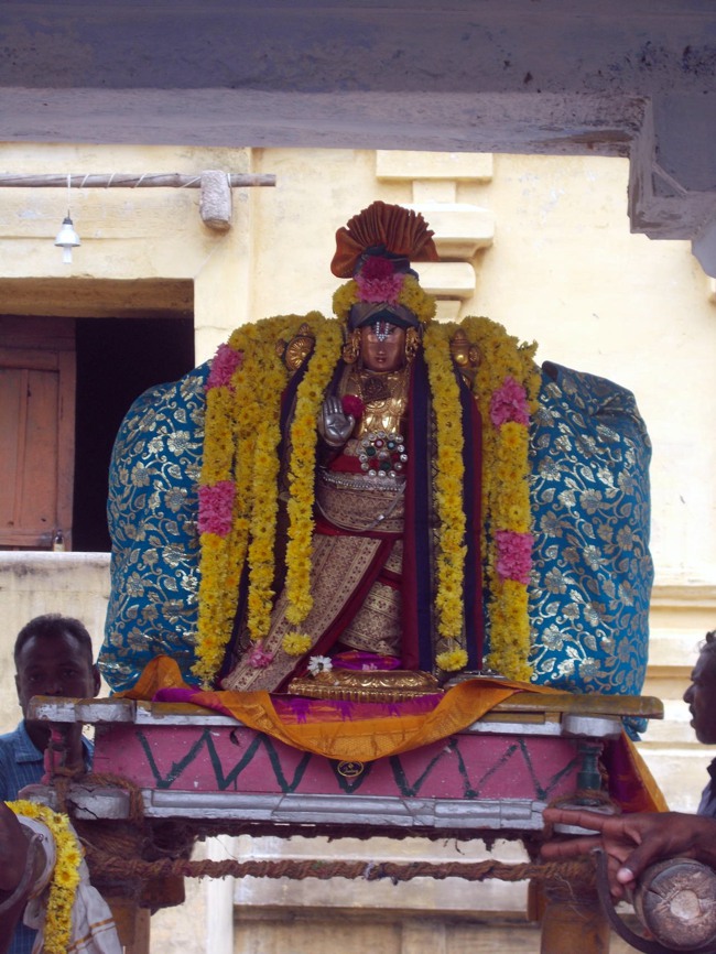 Thirukannamangai Pagal Pathu Utsavam day 5-2014-14