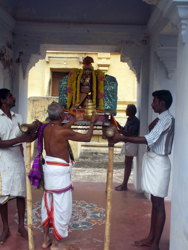 Thirukannamangai Pagal Pathu Utsavam day 5-2014-15