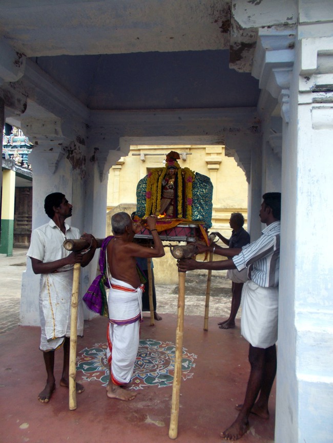 Thirukannamangai Pagal Pathu Utsavam day 5-2014-19