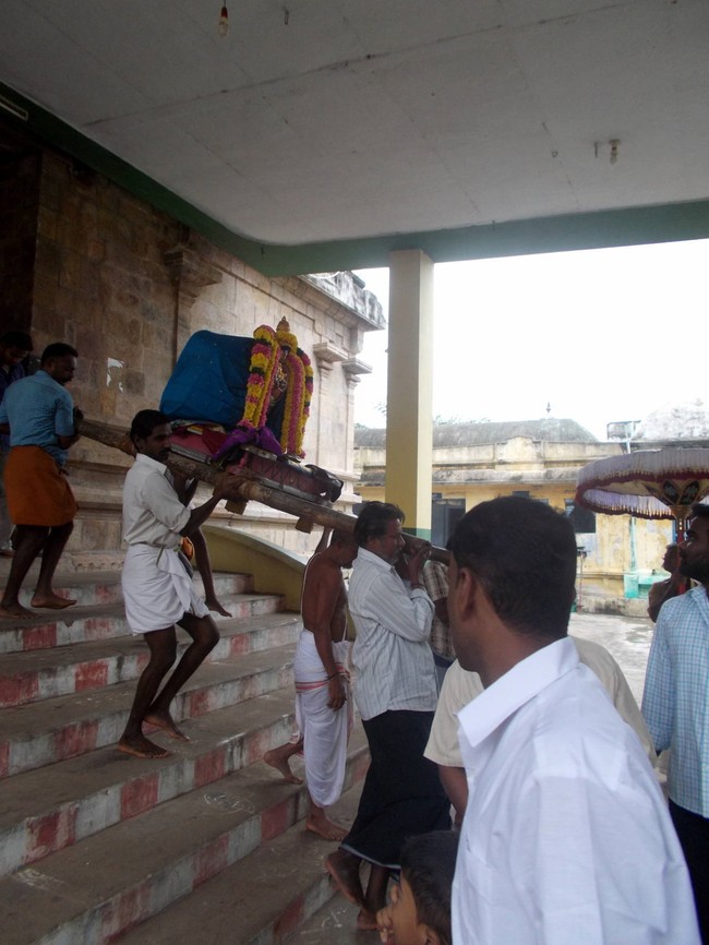 Thirukannamangai Sri Bhakthavatsala Perumal Pagal Pathu Utsavam day 8-2014-02