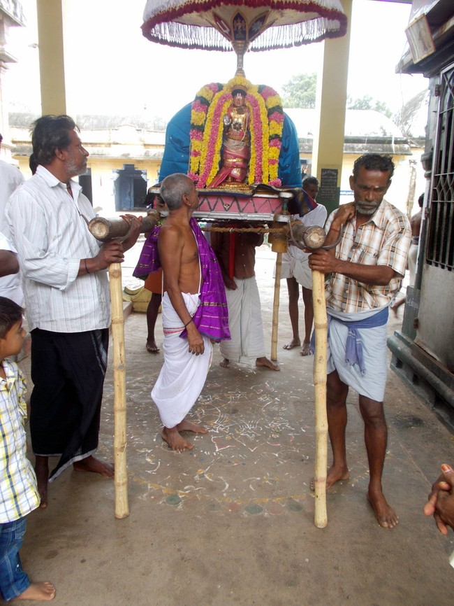 Thirukannamangai Sri Bhakthavatsala Perumal Pagal Pathu Utsavam day 8-2014-05