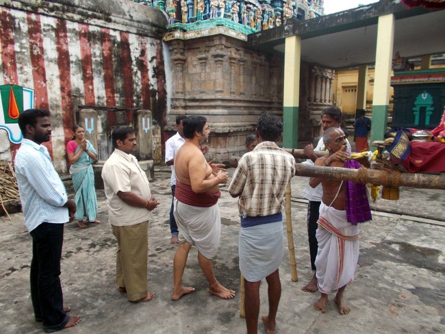 Thirukannamangai Sri Bhakthavatsala Perumal Pagal Pathu Utsavam day 8-2014-12
