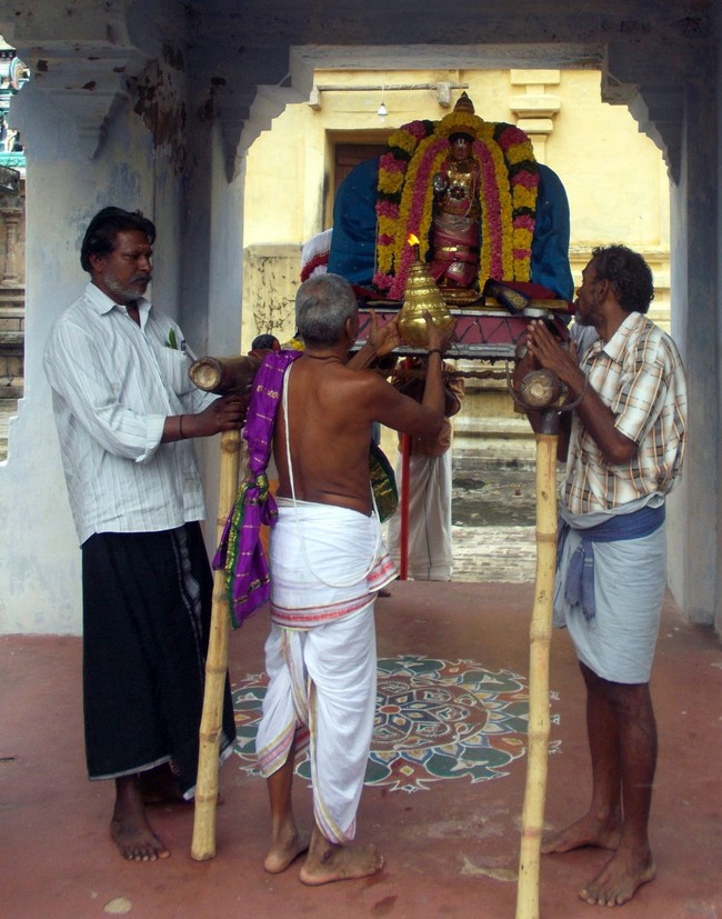 Thirukannamangai Sri Bhakthavatsala Perumal Pagal Pathu Utsavam day 8-2014-20