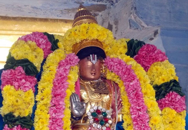 Thirukannamangai Sri Bhakthavatsala Perumal Pagal Pathu Utsavam day 8-2014-21