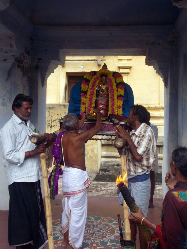 Thirukannamangai Sri Bhakthavatsala Perumal Pagal Pathu Utsavam day 8-2014-22