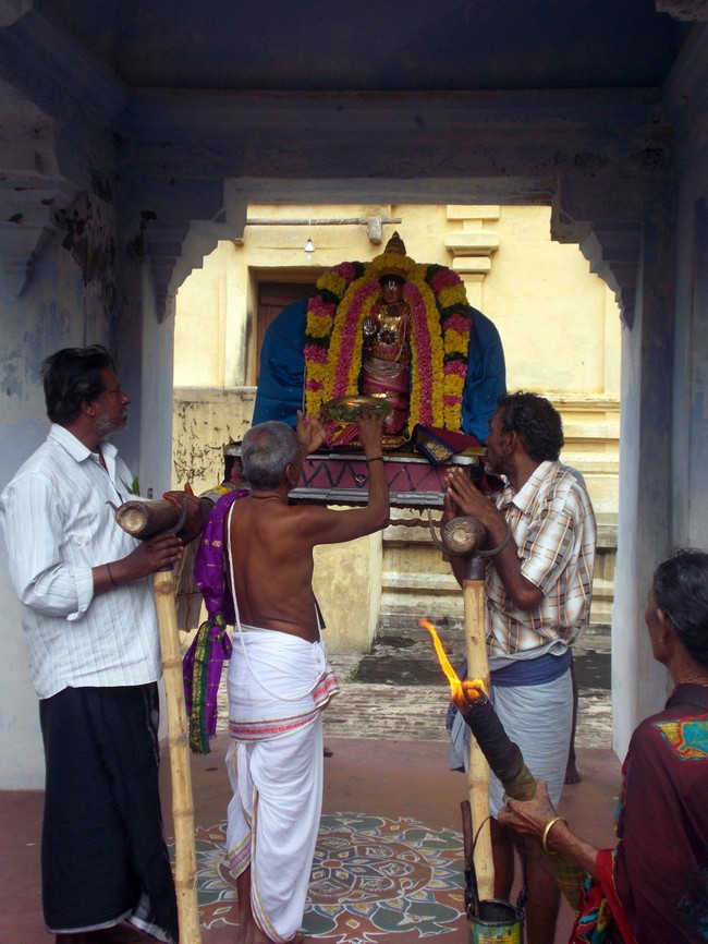 Thirukannamangai Sri Bhakthavatsala Perumal Pagal Pathu Utsavam day 8-2014-23