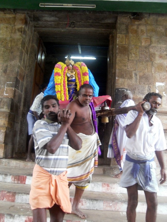 Thirukannamangai Sri Bhakthavatsala Perumal Temple Pagal pathu day 7-2014-02