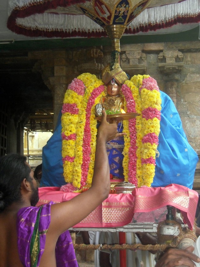 Thirukannamangai Sri Bhakthavatsala Perumal Temple Pagal pathu day 7-2014-19