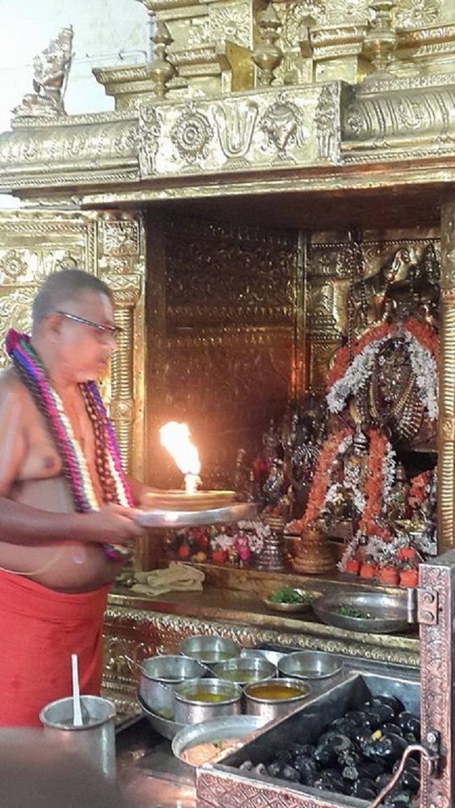 Thirukarthikai Utsavam At Azhwar Thirunagari Sri Ahobila Mutt17