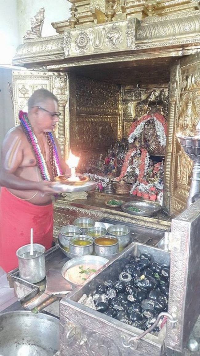 Thirukarthikai Utsavam At Azhwar Thirunagari Sri Ahobila Mutt3