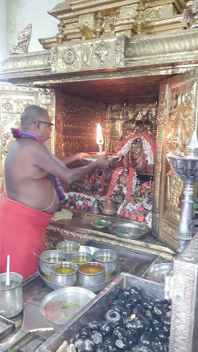 Thirukarthikai Utsavam At Azhwar Thirunagari Sri Ahobila Mutt7
