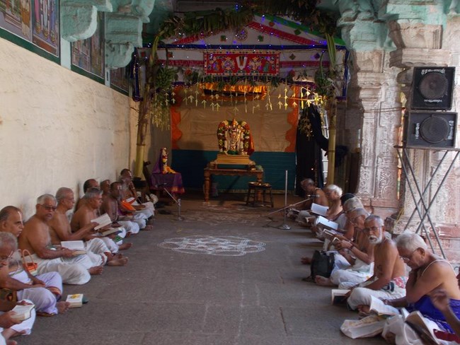 Thirukoodal Azhagar Temple Pagal Pathu Utsavam1
