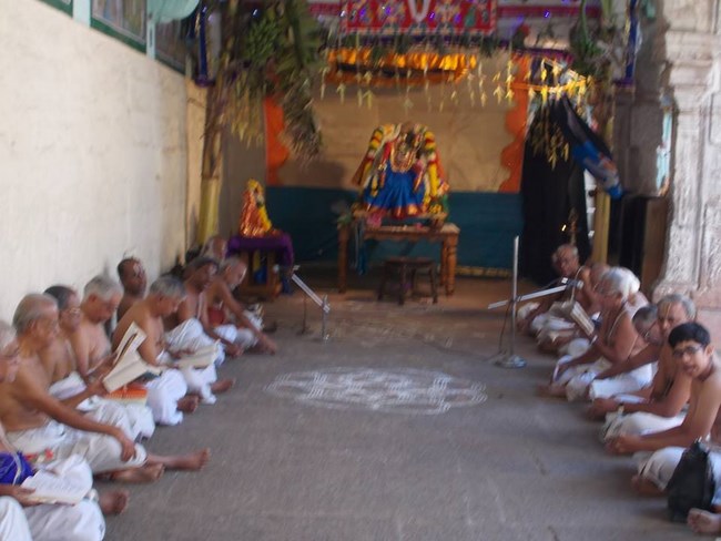 Thirukoodal Azhagar Temple Pagal Pathu Utsavam2