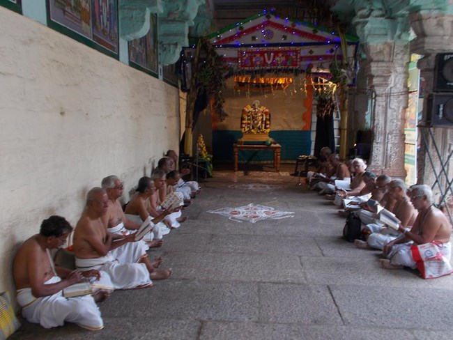 Thirukoodal Azhagar Temple Pagal Pathu Utsavam5