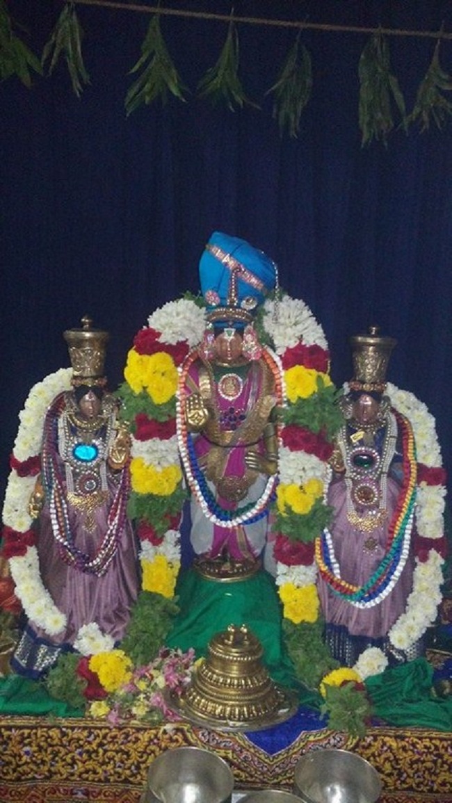 Thirupullamboothangudi Sri Valvil Ramar Thirukkoil Pavithrotsavam Concludes9
