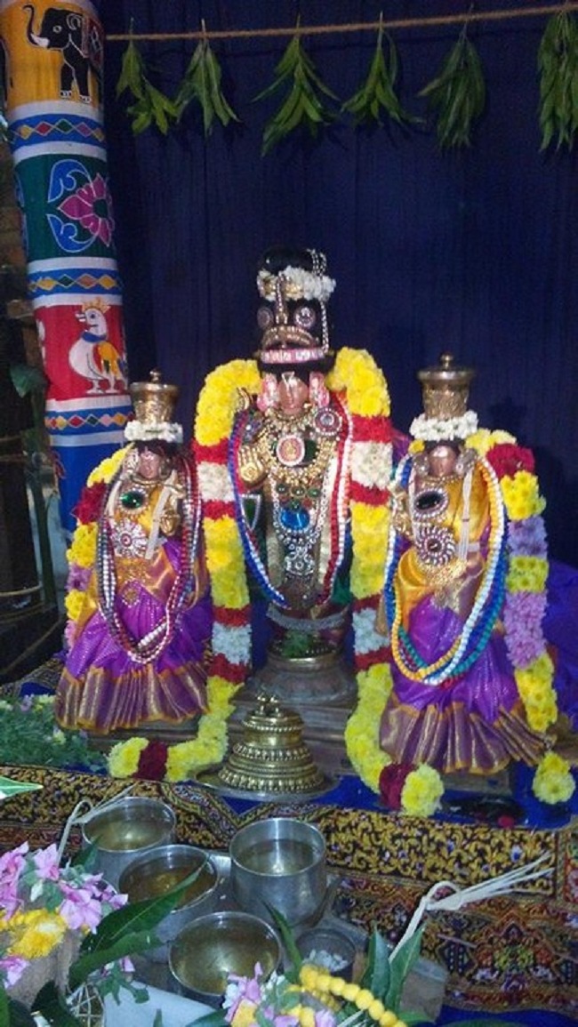 Thirupullamboothangudi Sri Valvil Ramar Thirukkoil Pavithrotsavam2