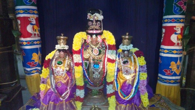 Thirupullamboothangudi Sri Valvil Ramar Thirukkoil Pavithrotsavam4