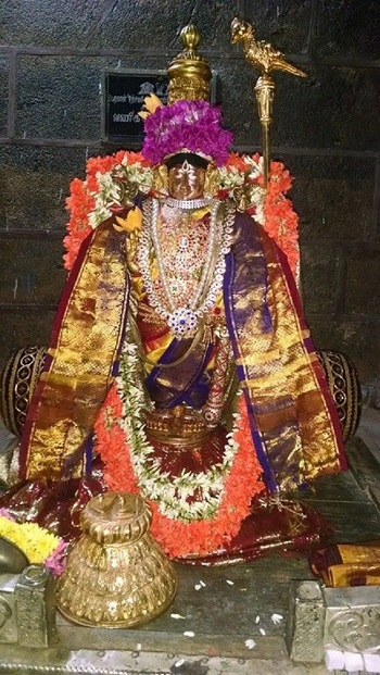 Thiruvahindrapuram Sri Devanathan Perumal Temple Ekadasi Purappadu2