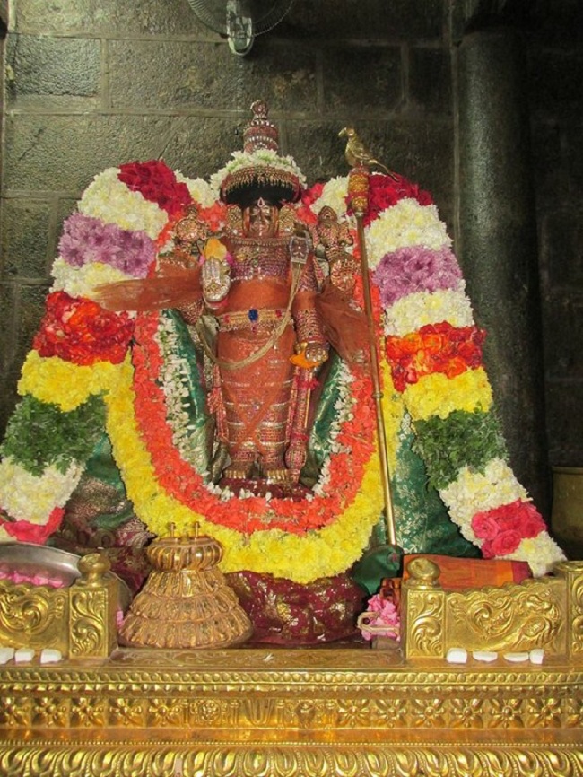 Thiruvahindrapuram Sri Devanathan Perumal Temple Kaisika Ekadasi Purappadu2